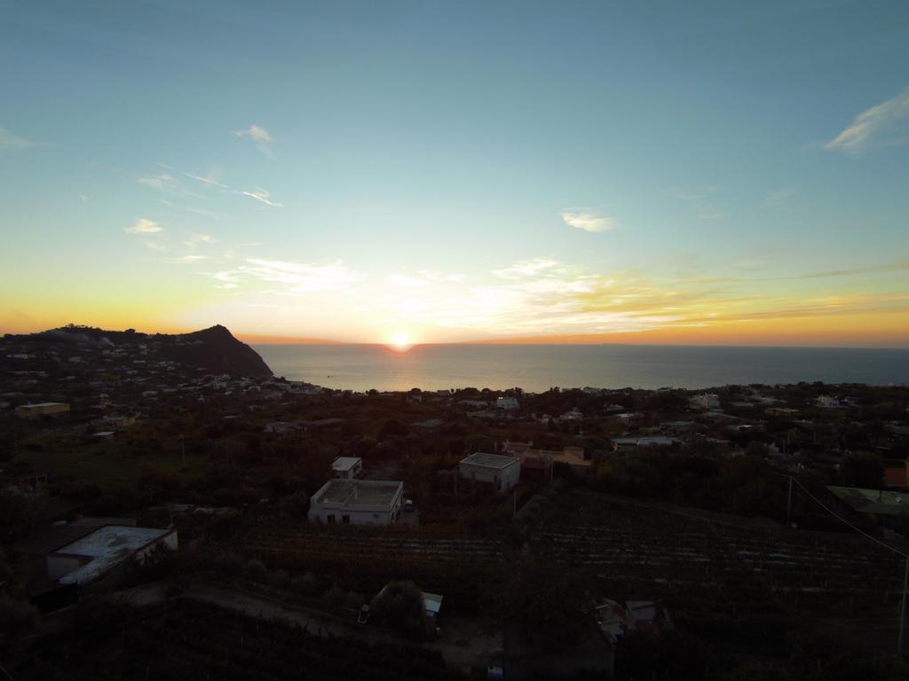 Appartamenti Bellavista Forio di Ischia Exteriör bild